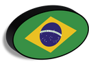 Bandiera luminosa_Brazil ovale