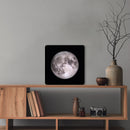 Insegna luminosa Luna 1