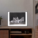 Lampada da collezione foto storiche_gattini & gomitoli