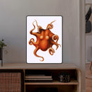 Polypus_collezione di lampade con illustrazioni storiche scientifiche