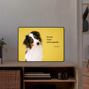 Un cane è tutto_cane muso dolce