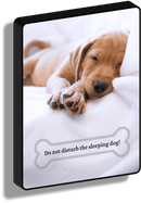 Sleeping dog_cucciolo che dorme