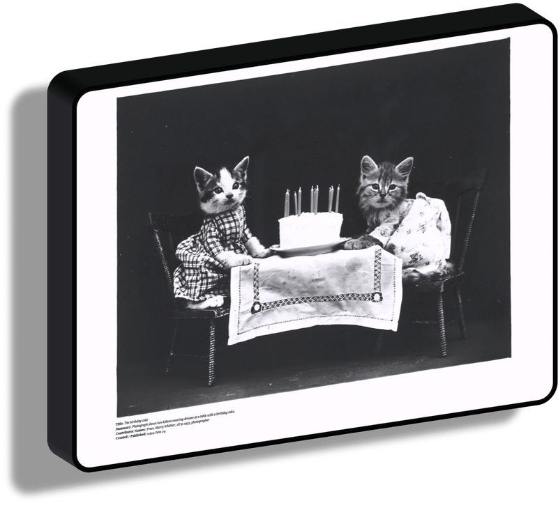 Lampada da collezione foto storiche_gattini & torta di compleanno