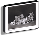 Lampada da collezione foto storiche_gattini & gomitoli