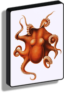 Polypus_collezione di lampade con illustrazioni storiche scientifiche